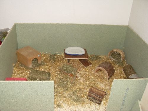 pntkchenandromedakassiopeiahp13710