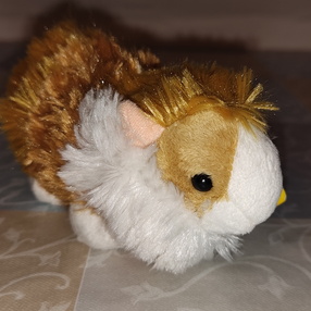 Plüschmeerschweinchen